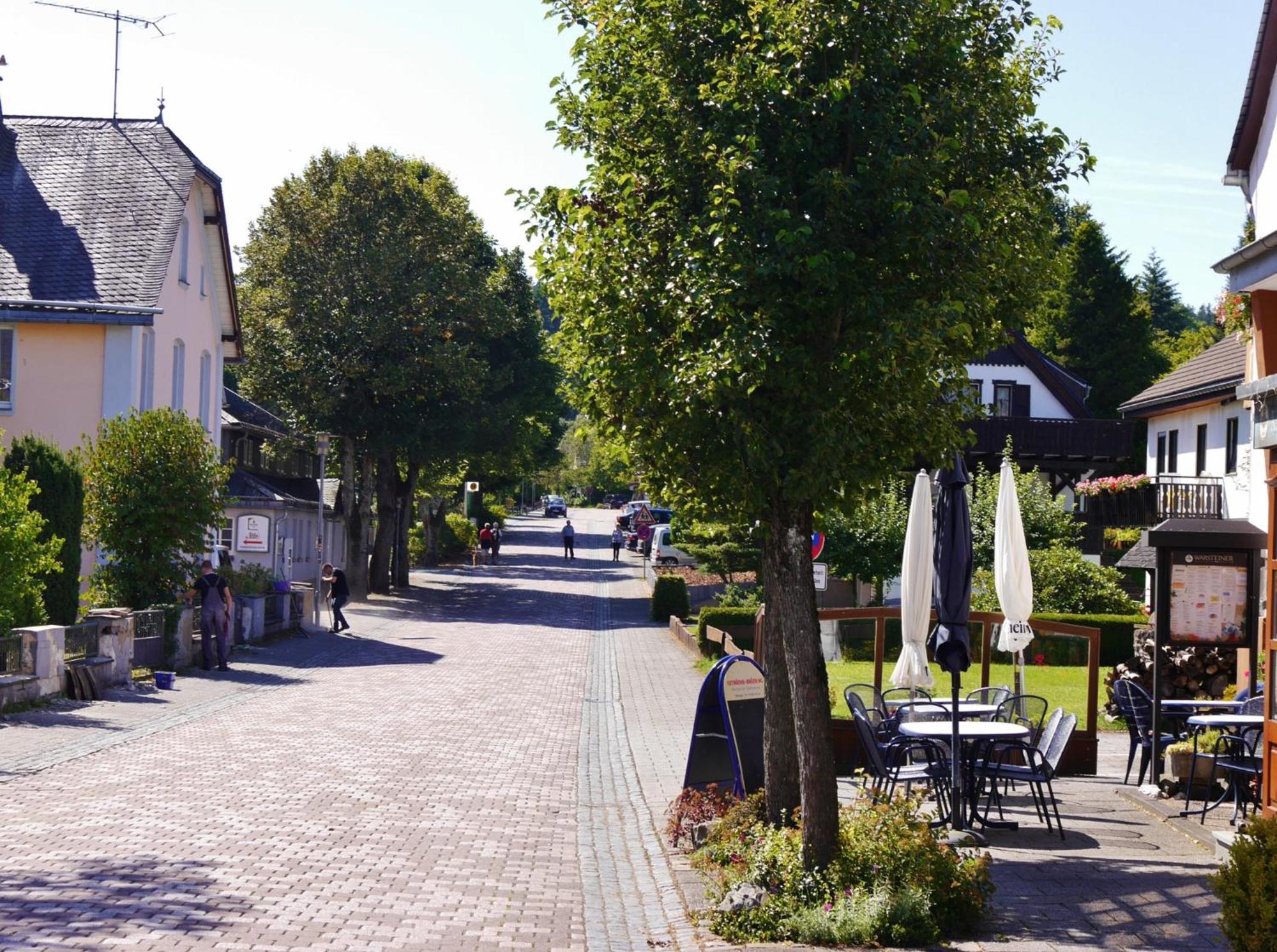 Ferienhaus Diemelquelle - Mit Eingezaeuntem Garten Willingen  Esterno foto