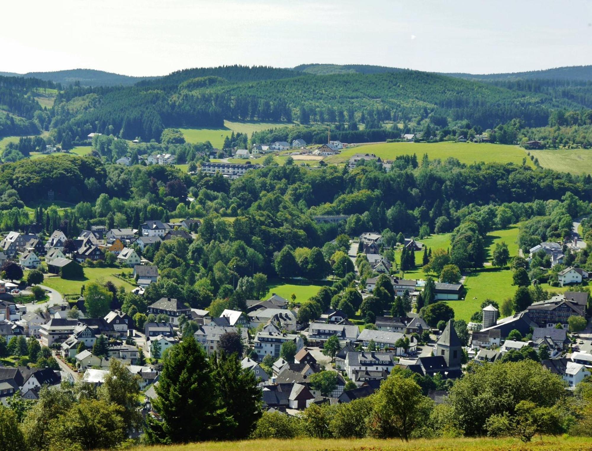 Ferienhaus Diemelquelle - Mit Eingezaeuntem Garten Willingen  Esterno foto